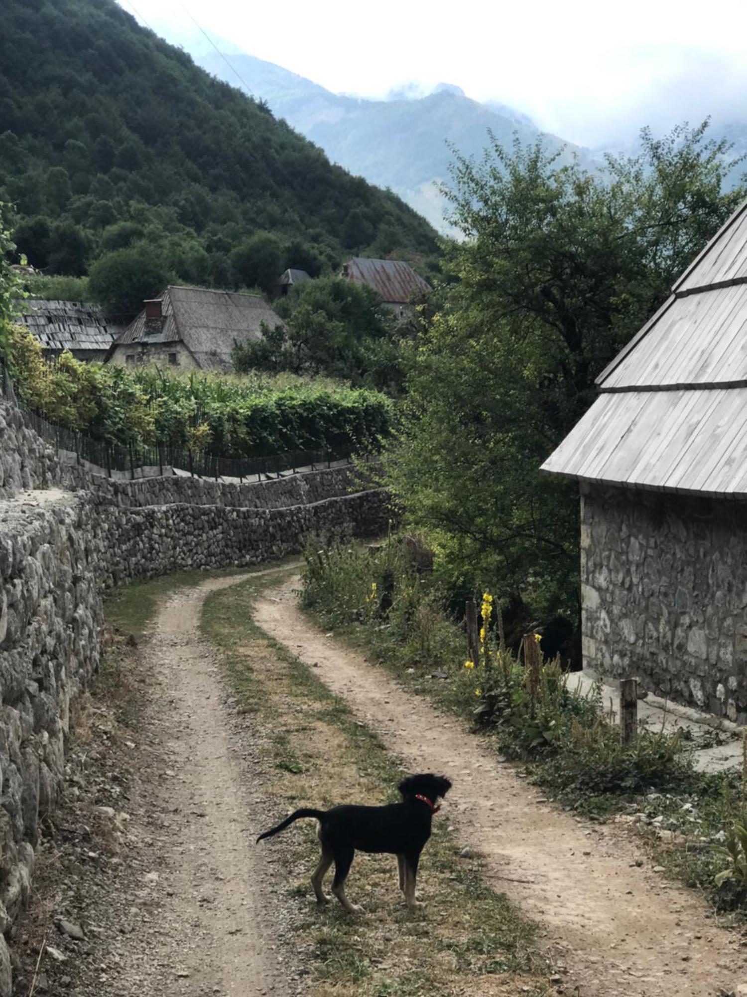 Marash Rrgalla Guesthouse Theth Zewnętrze zdjęcie