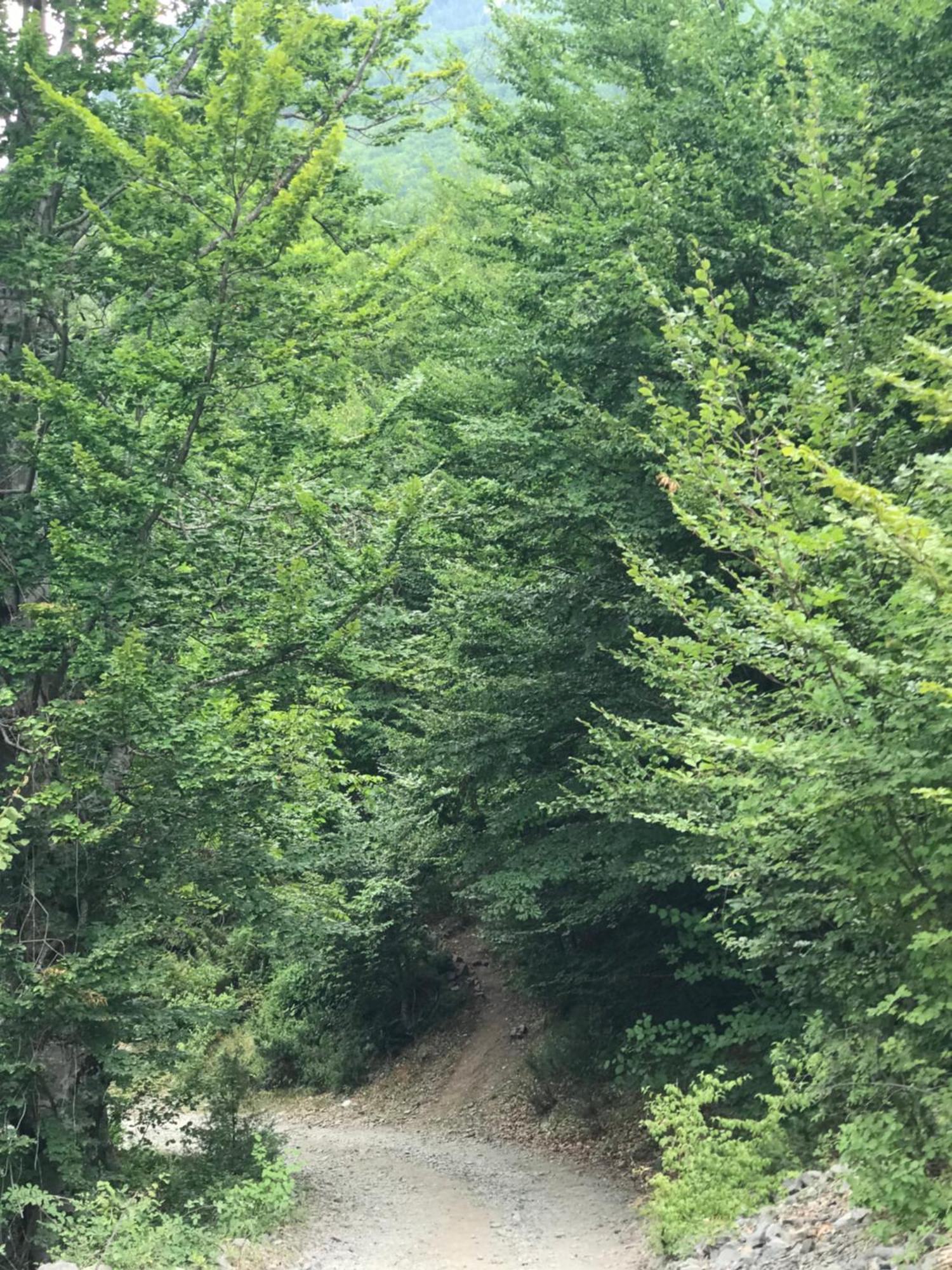 Marash Rrgalla Guesthouse Theth Zewnętrze zdjęcie